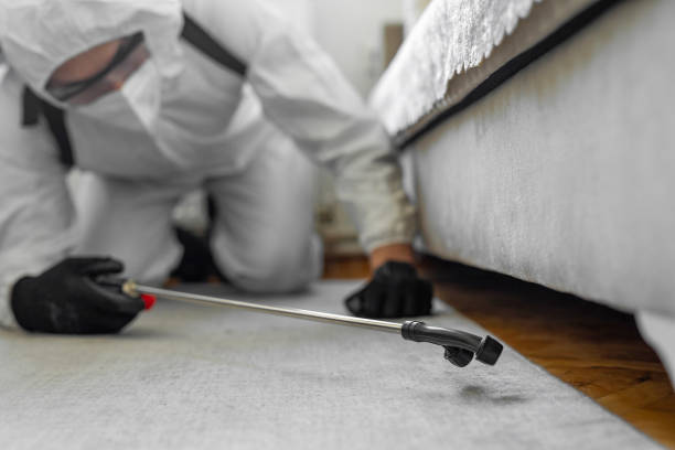 Professional Wasp Control technician working in Port Chester, NY