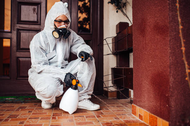 Reliable Rodent Control contractor in Port Chester, NY by Nex Pest Control