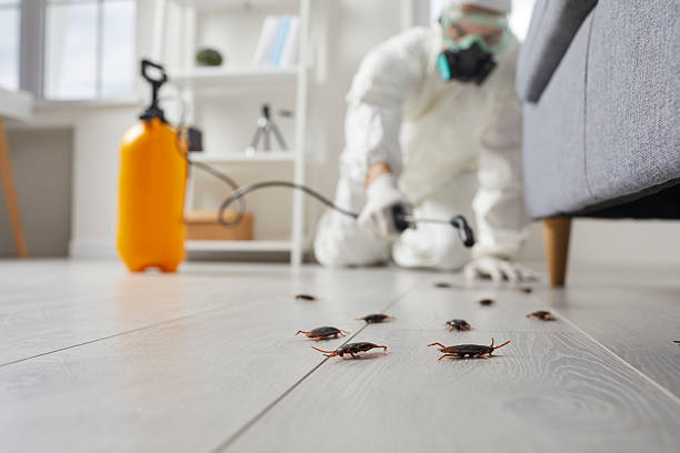Trusted Fumigation Services service in Port Chester, NY - Nex Pest Control